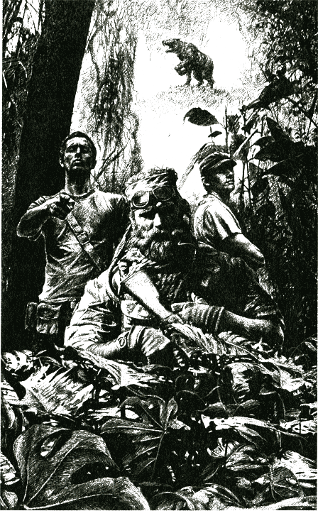 Иллюстрация к книге — Экспансия [i_001.png]