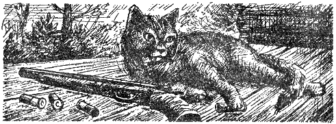 Иллюстрация к книге — Озеро. Вас убивает Таймыр [i_002.png]