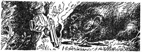 Иллюстрация к книге — Озеро. Вас убивает Таймыр [i_013.png]