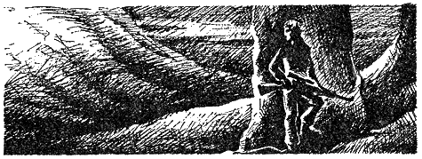 Иллюстрация к книге — Озеро. Вас убивает Таймыр [i_015.png]