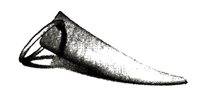 Иллюстрация к книге — Штормовое предупреждение [i_006.png]