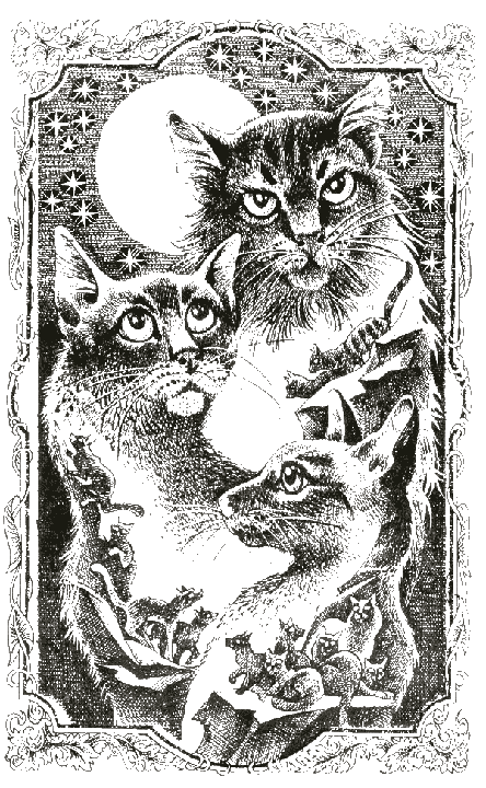 Иллюстрация к книге — Судьба Небесного племени. Сомнение [i_001.png]