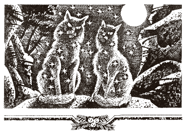 Иллюстрация к книге — Судьба Небесного племени. Сомнение [i_004.png]