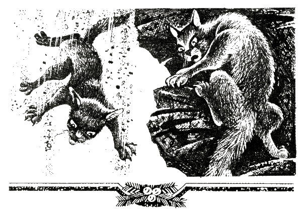 Иллюстрация к книге — Судьба Небесного племени. Сомнение [i_006.png]