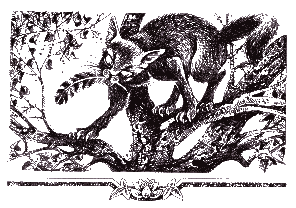 Иллюстрация к книге — Судьба Небесного племени. Сомнение [i_007.png]