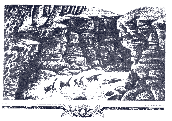 Иллюстрация к книге — Судьба Небесного племени. Сомнение [i_008.png]