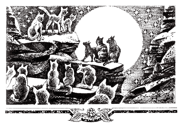 Иллюстрация к книге — Судьба Небесного племени. Сомнение [i_014.png]