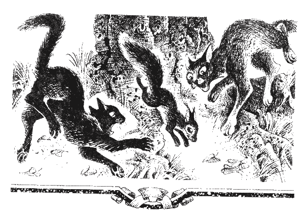 Иллюстрация к книге — Судьба Небесного племени. Сомнение [i_016.png]