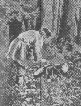 Иллюстрация к книге — Записки сиротки [untitled3kopirovat.jpg]