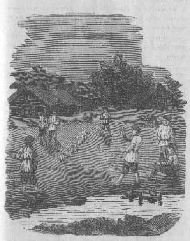 Иллюстрация к книге — Лишний рот [i_001.jpg]