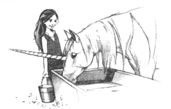 Иллюстрация к книге — Драконы Обыкновенной фермы [i_008.png]