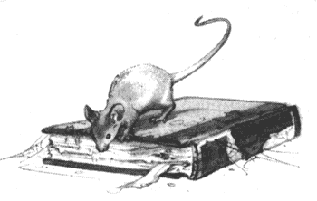 Иллюстрация к книге — Драконы Обыкновенной фермы [i_014.png]