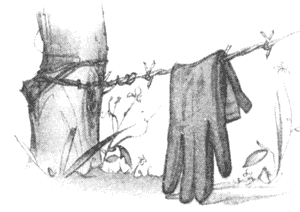 Иллюстрация к книге — Драконы Обыкновенной фермы [i_028.png]