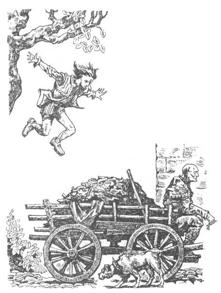 Иллюстрация к книге — Лес безмолвия [pic04.jpg]