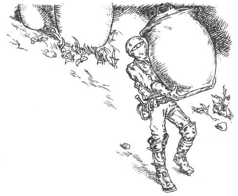 Иллюстрация к книге — Город крыс [i_019.jpg]