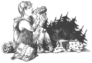 Иллюстрация к книге — Роуэн из Рина [_24.jpg]