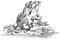 Иллюстрация к книге — Роуэн из Рина [_29.jpg]