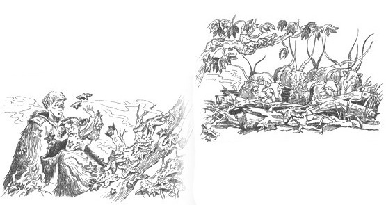 Иллюстрация к книге — Роуэн и букшахи [_05.jpg]