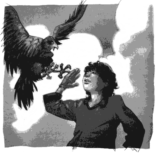 Иллюстрация к книге — Джено и черная печать мадам Крикен [img08.png]