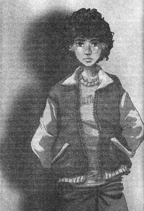 Иллюстрация к книге — Джено и белая руна золотого сокола [i_001.jpg]