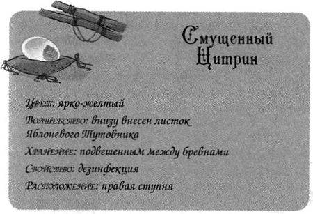 Иллюстрация к книге — Джено и красное зеркало истины [img19.jpg]