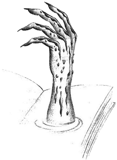 Иллюстрация к книге — Нина и загадка Восьмой Ноты [img023.png]