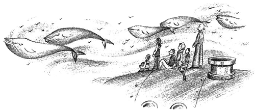 Иллюстрация к книге — Нина и тайный глаз Атлантиды [img73.png]