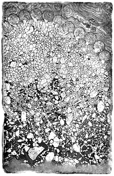 Иллюстрация к книге — Обреченное королевство [i_007.jpg]