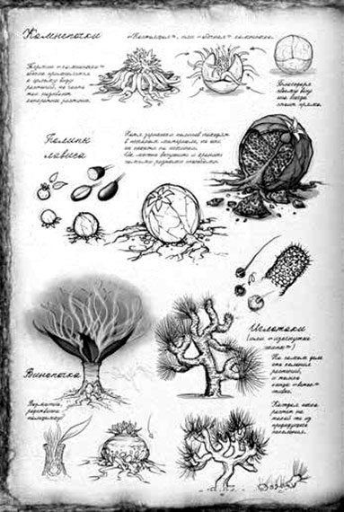 Иллюстрация к книге — Обреченное королевство [i_016.jpg]