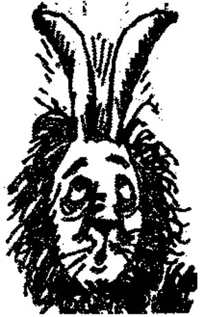 Иллюстрация к книге — Когда-то, давным-давно... [i_019.jpg]