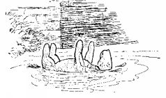 Иллюстрация к книге — Винни-Пух и все-все-все [pic20.jpg]