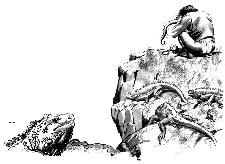 Иллюстрация к книге — Легенды. Приключения и сражения [i_027.png]