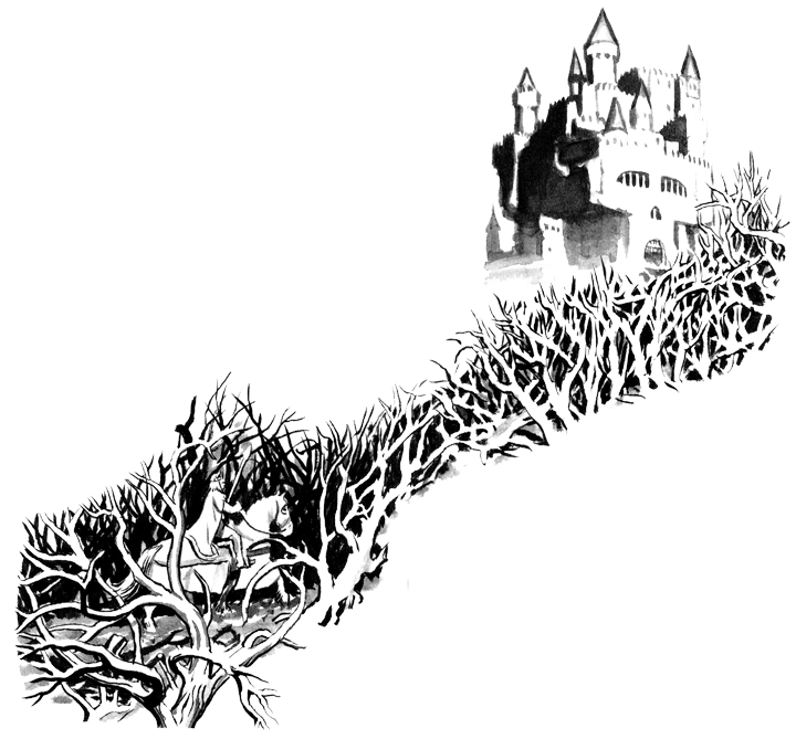 Иллюстрация к книге — Легенды. Приключения и сражения [i_039.png]