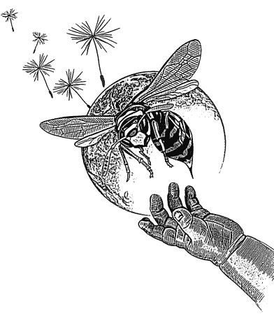 Иллюстрация к книге — Утерянный рай [1.png]