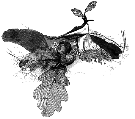 Иллюстрация к книге — Утерянный рай [8.png]