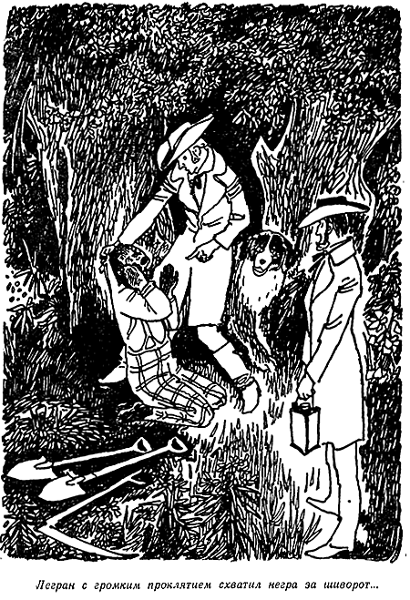 Иллюстрация к книге — Золотой жук [i_004.png]