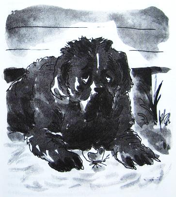 Иллюстрация к книге — Грибной дождь для героя [_007.jpg]