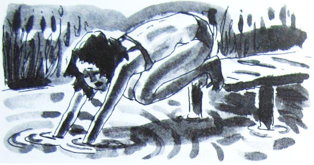 Иллюстрация к книге — Грибной дождь для героя [_023.jpg]