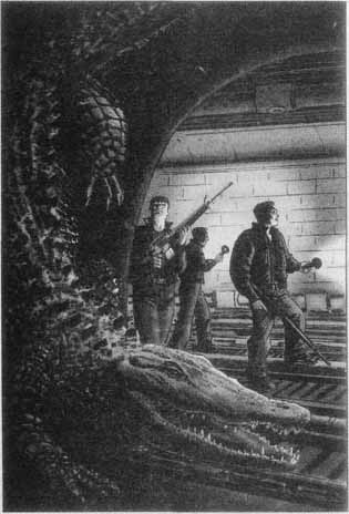 Иллюстрация к книге — Дикие карты [pict08.jpg]