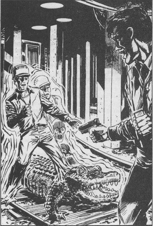 Иллюстрация к книге — Неистовые джокеры [pic06.jpg]