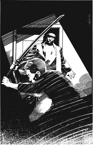 Иллюстрация к книге — Тузы за границей [_08.png]