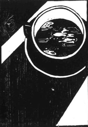 Иллюстрация к книге — Кома [i_008.jpg]