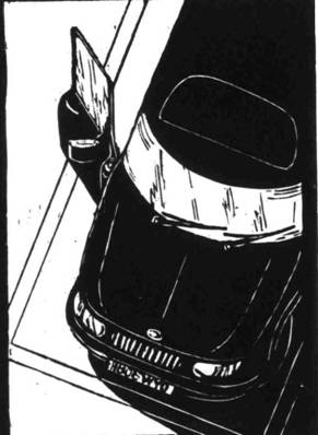 Иллюстрация к книге — Кома [i_014.jpg]