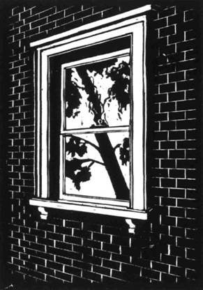 Иллюстрация к книге — Кома [i_023.jpg]