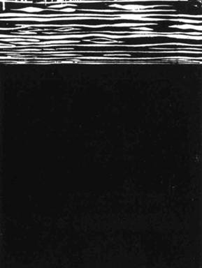 Иллюстрация к книге — Кома [i_030.jpg]