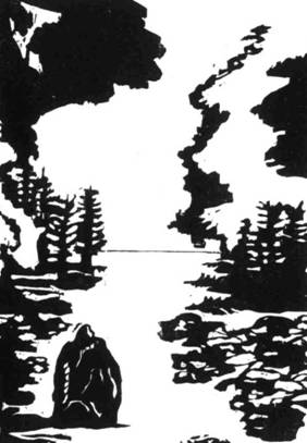 Иллюстрация к книге — Кома [i_038.jpg]