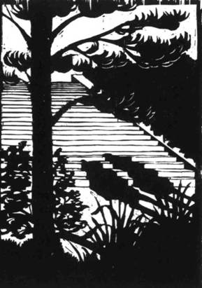 Иллюстрация к книге — Кома [i_039.jpg]