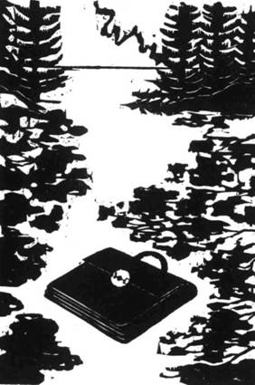 Иллюстрация к книге — Кома [i_045.jpg]