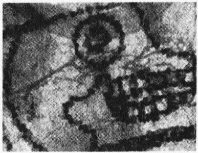 Иллюстрация к книге — Потерянная империя [pic231.jpg]