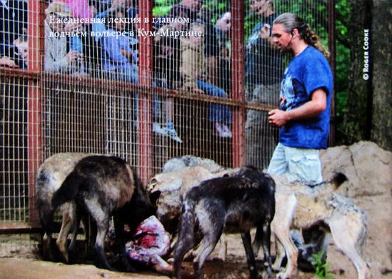 Иллюстрация к книге — Свой среди волков [IMG_8448b.jpg]